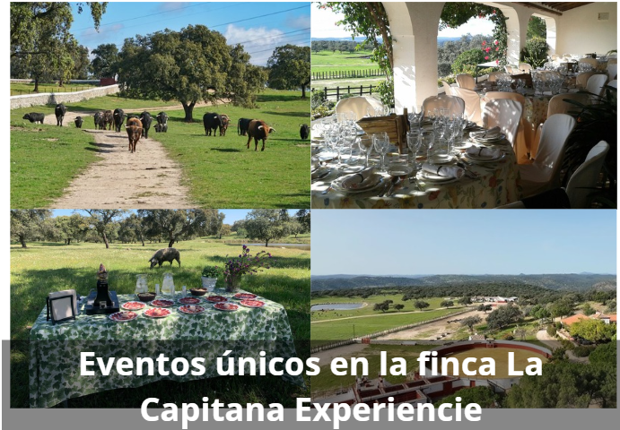 Eventos únicos en el campo bravo: bodas, empresas y visitas personalizadas