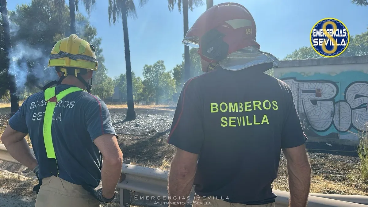 Nuevo incendio en la Isla de la Cartuja de Sevilla: tercer suceso en una semana