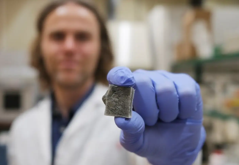 Descubren un material basado en algas que produce electricidad y protege contra el fuego