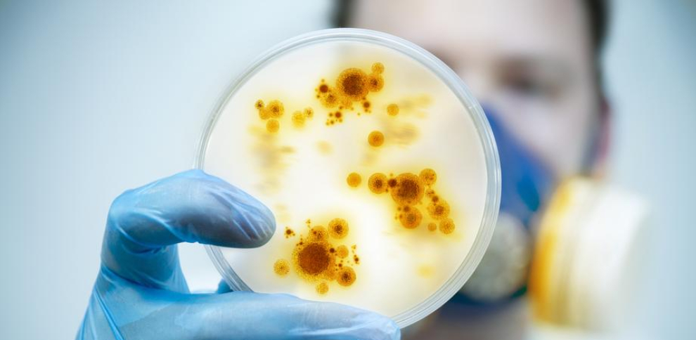 Las Superbacterias Matan Más que el Tráfico: La Crisis Silenciosa que ya es la Principal Amenaza Sanitaria