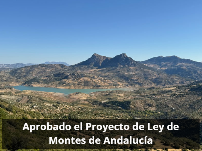 Proyecto de Ley de Montes de Andalucía aprobado: así cambiará la gestión forestal