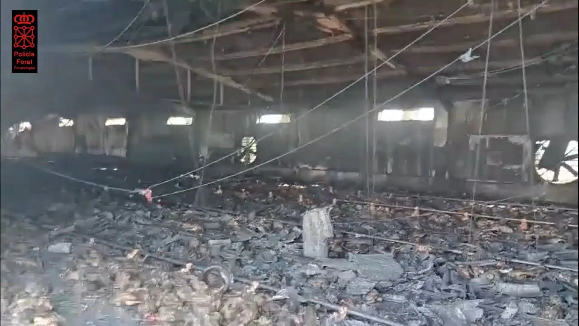 Tragedia animal en Villafranca: un voraz incendio acaba con la vida de 10.000 pollos. Impacto del incendio en la explotación
